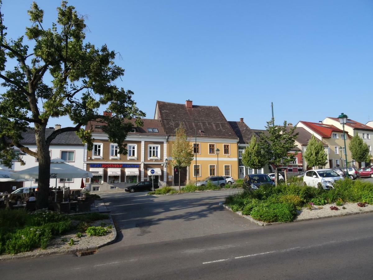 Gaestehaus Familie Loeffler - Ferienwohnung Am Stadtplatz In Litschau Luaran gambar